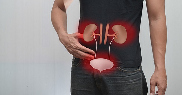 Bladder cancer – Diagnosis and treatment with Ass dr Uroš Babić