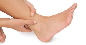 The foot